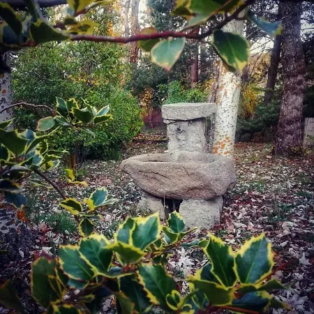 アパート Turisticos Matagacha Villaviciosa